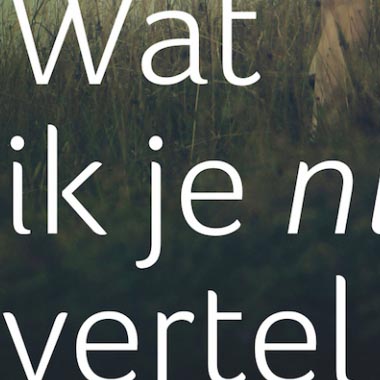 Wat ik je niet vertel: over de remix van een roman