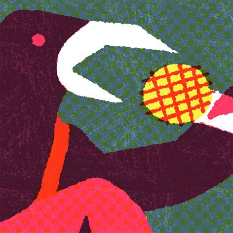 Crossing Border Festival 2016