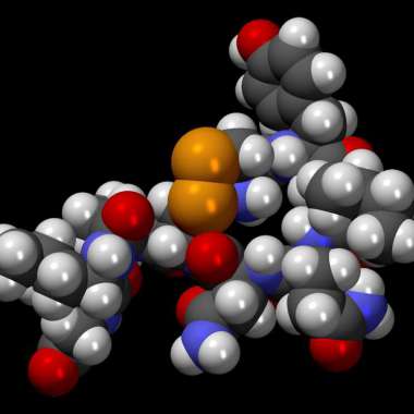 Oxytocine Oxytocine